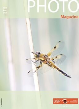 Photo Magazine – Juin 2025