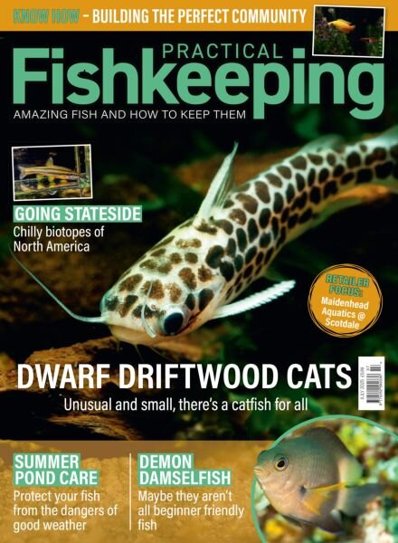Practical Fishkeeping – July 2025 Cover