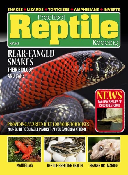 Practical Reptile Keeping – May 2025 Cover