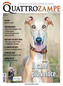 QuattroZampe – Giugno 2025