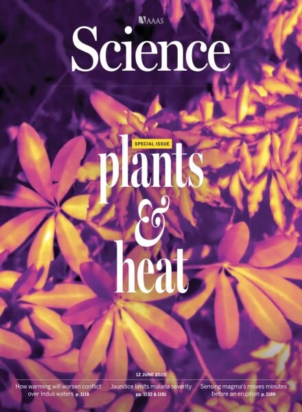 Science – 12 June 2025 Cover