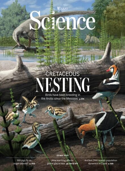 Science – 29 May 2025 Cover