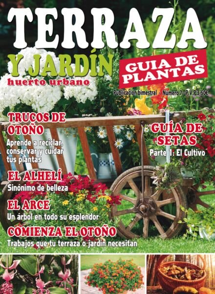 Terraza y Jardin – Junio 2025 Cover