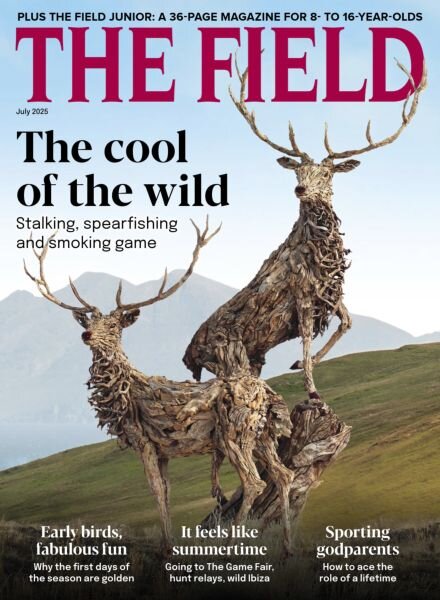 The Field – July 2025 Cover