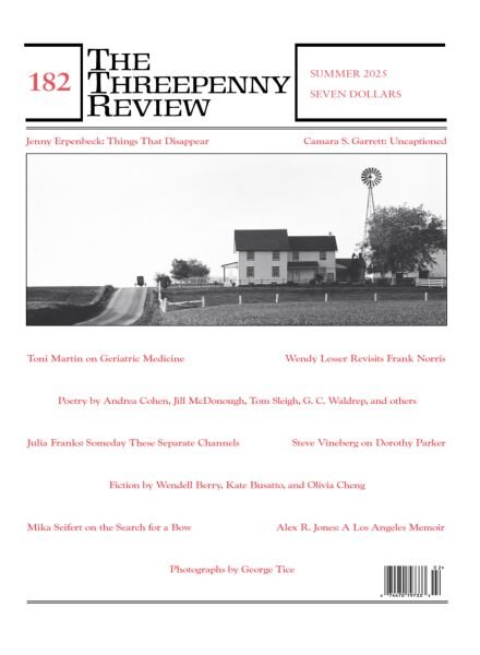 The Threepenny Review – Summer 2025 Cover