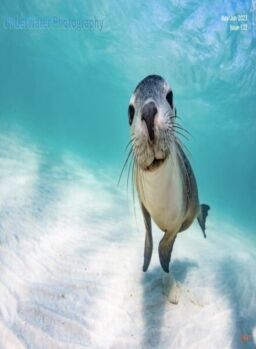 Underwater Photography – May-June 2023