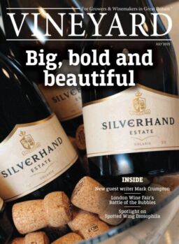 Vineyard – July 2025