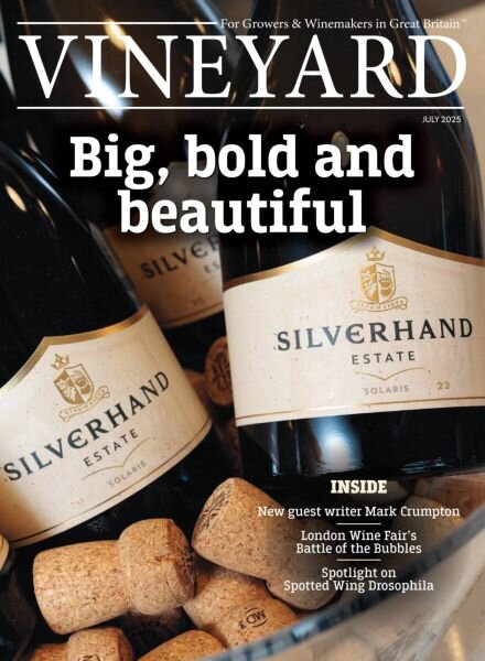 Vineyard – July 2025 Cover
