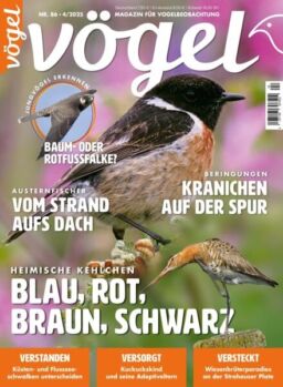 Vogel Magazin – Juni 2025