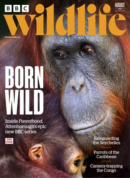 BBC Wildlife – August 2025 Cover