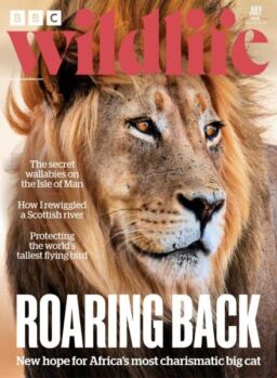 BBC Wildlife – July 2025
