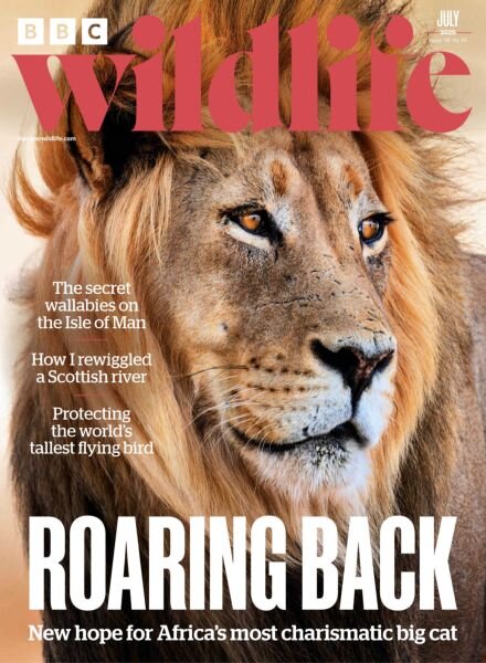 BBC Wildlife – July 2025 Cover