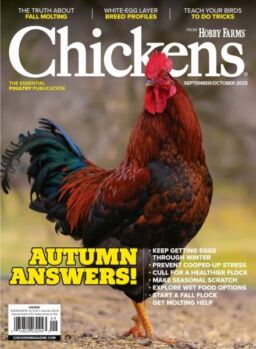 Chickens – September-October 2025