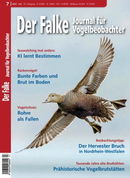 Der Falke Journal fur Vogelbeobachter – Juli 2025 Cover