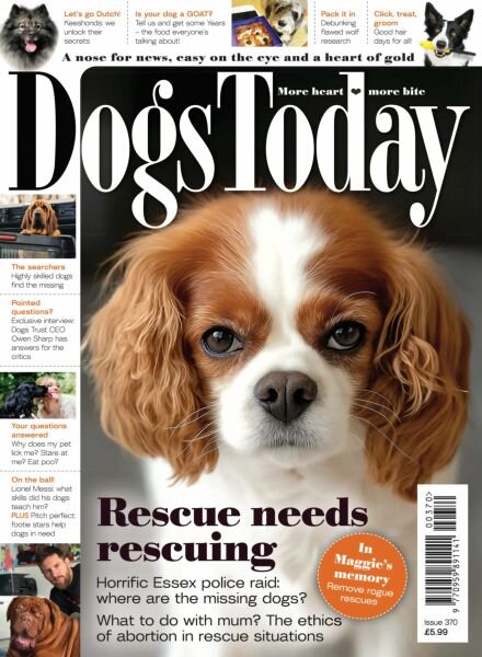 Dogs Today UK – Issue 370 2025 Cover