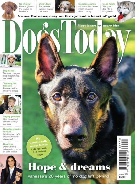Dogs Today UK – Issue 371 2025 Cover