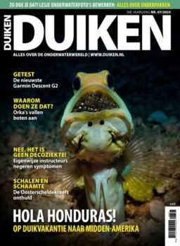 Duiken – Juli 2025