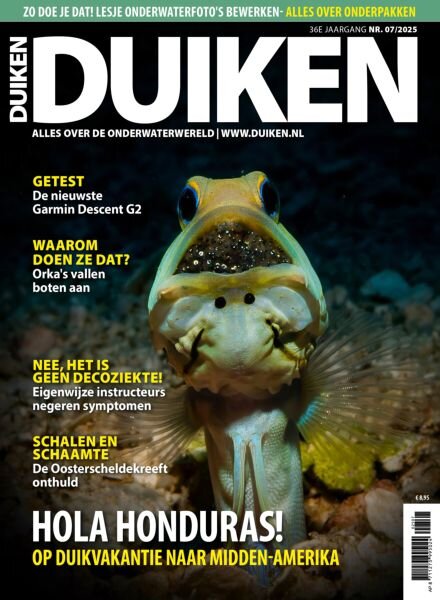 Duiken – Juli 2025 Cover