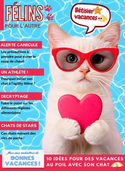 Felins pour l’autre – 29 Juillet 2025 Cover