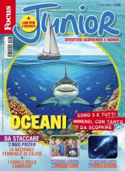 Focus Junior – Agosto 2025