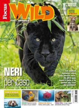 Focus Wild – Luglio 2025