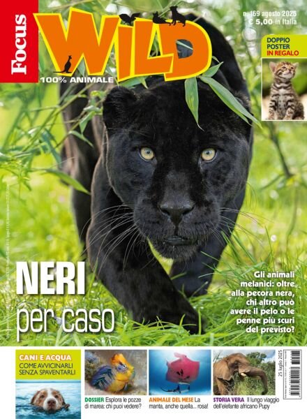 Focus Wild – Luglio 2025 Cover