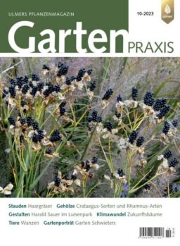Gartenpraxis Magazin – Nr 10 2023