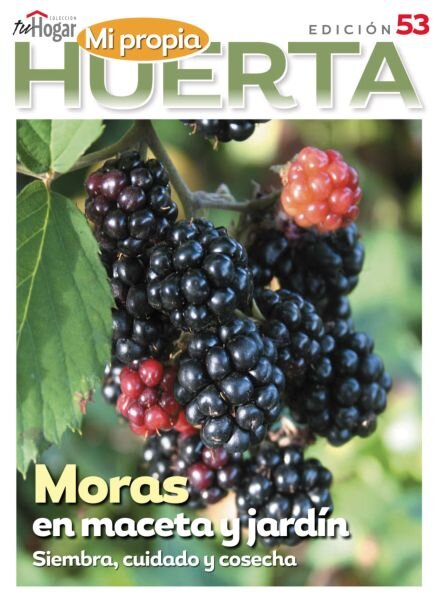 La Huerta en Casa – Julio 2025 Cover