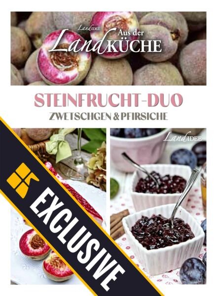 LandIDEE LandKuche – 19 Juli 2025 Cover