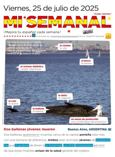 Mi Semanal – 25 Julio 2025 Cover
