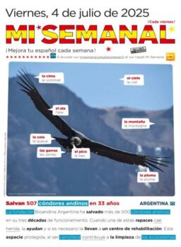 Mi Semanal – 4 Julio 2025