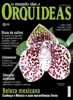 O Mundo das Orquideas – Julho 2025