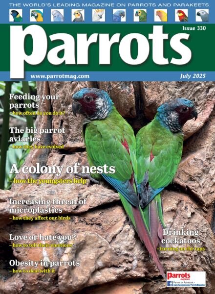 Parrots – July 2025 Cover