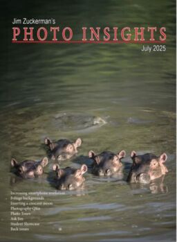 Photo Insights – July 2025
