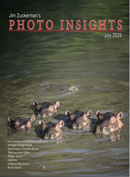 Photo Insights – July 2025 Cover
