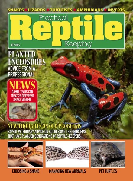 Practical Reptile Keeping – July 2025 Cover