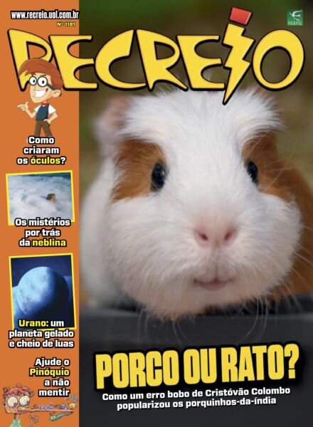 Recreio – Edicao 1181 2025 Cover