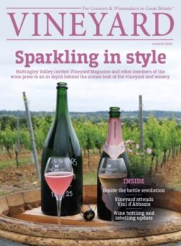 Vineyard – August 2025