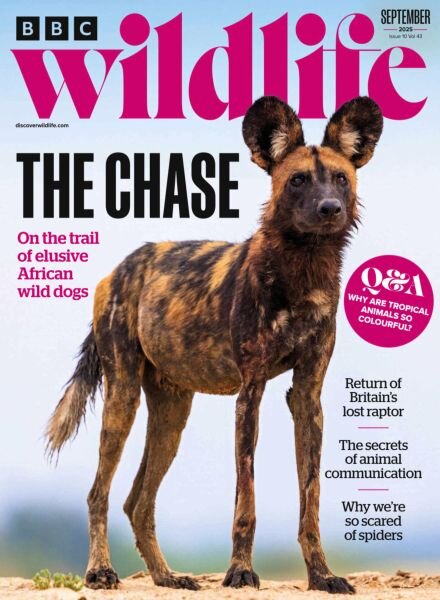 BBC Wildlife – September 2025 Cover