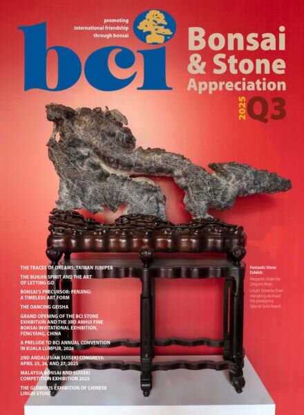BCI Bonsai & Stone Appreciation Magazine – Number 3 2025 Cover