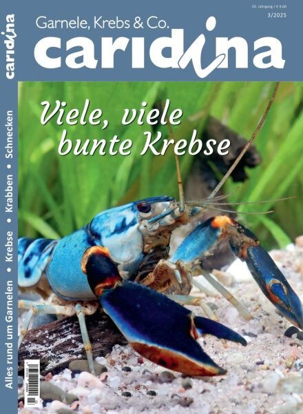 Caridina – 4 August 2025 Cover