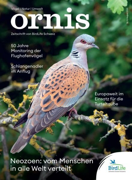 Ornis – August 2025 Cover