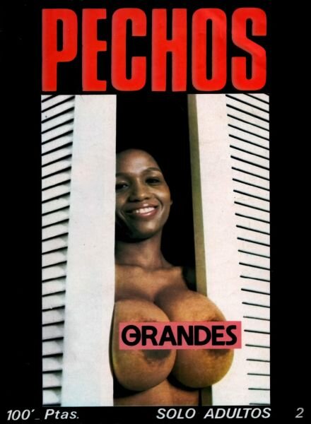 Pechos – N 2 1979 Cover