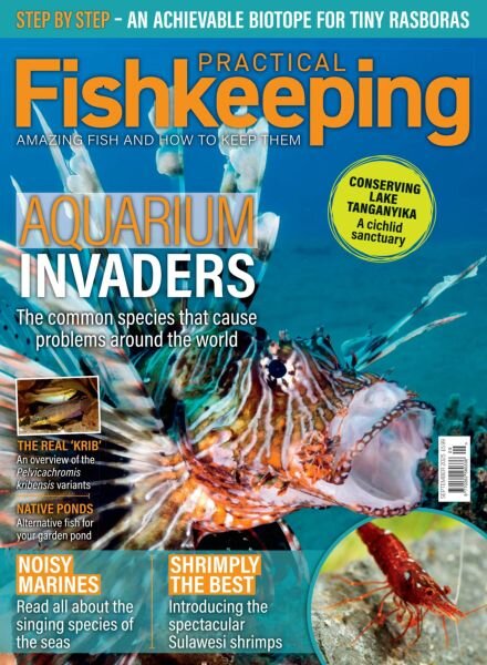 Practical Fishkeeping – September 2025 Cover