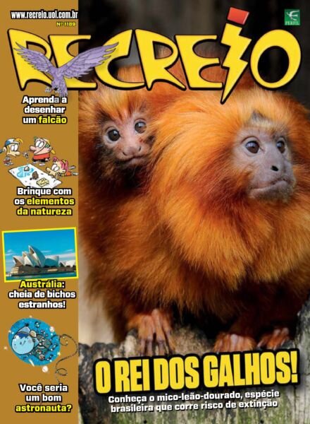 Recreio – Edicao 1189 2025 Cover