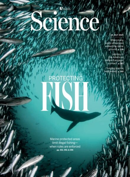 Science – 24 July 2025 Cover