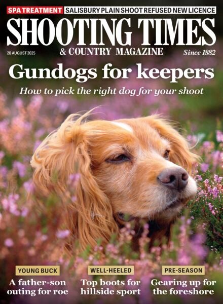 Shooting Times & Country – 20 August 2025 Cover