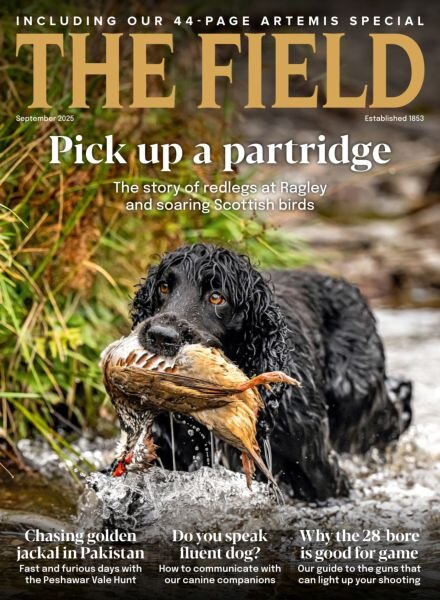 The Field – September 2025 Cover