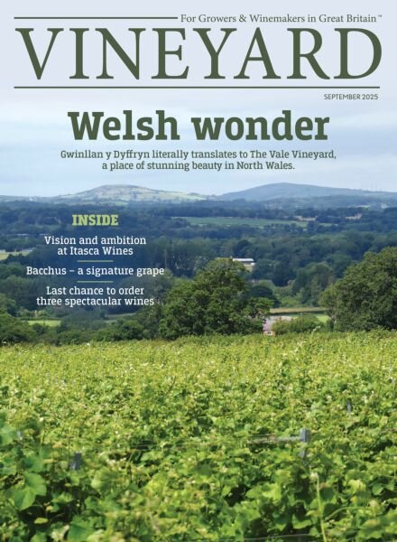 Vineyard – September 2025 Cover