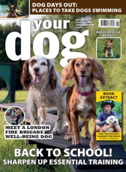 Your Dog – September 2025